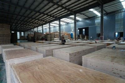 Tiêu chuẩn AS6669 cho formply là gì